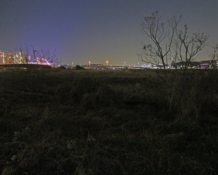 新横浜の駅近、鳥山川が鶴見川に合流する地点に広がるサイハテな河川敷。