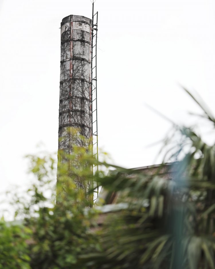 枯れ草が絡まる味のある煙突。