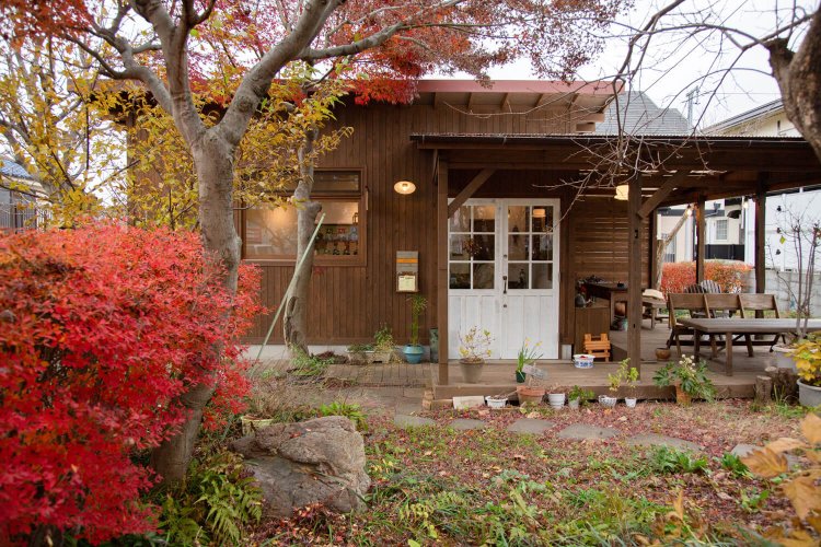 庭木を愛でるテラス席には猫も時折、顔を出す。