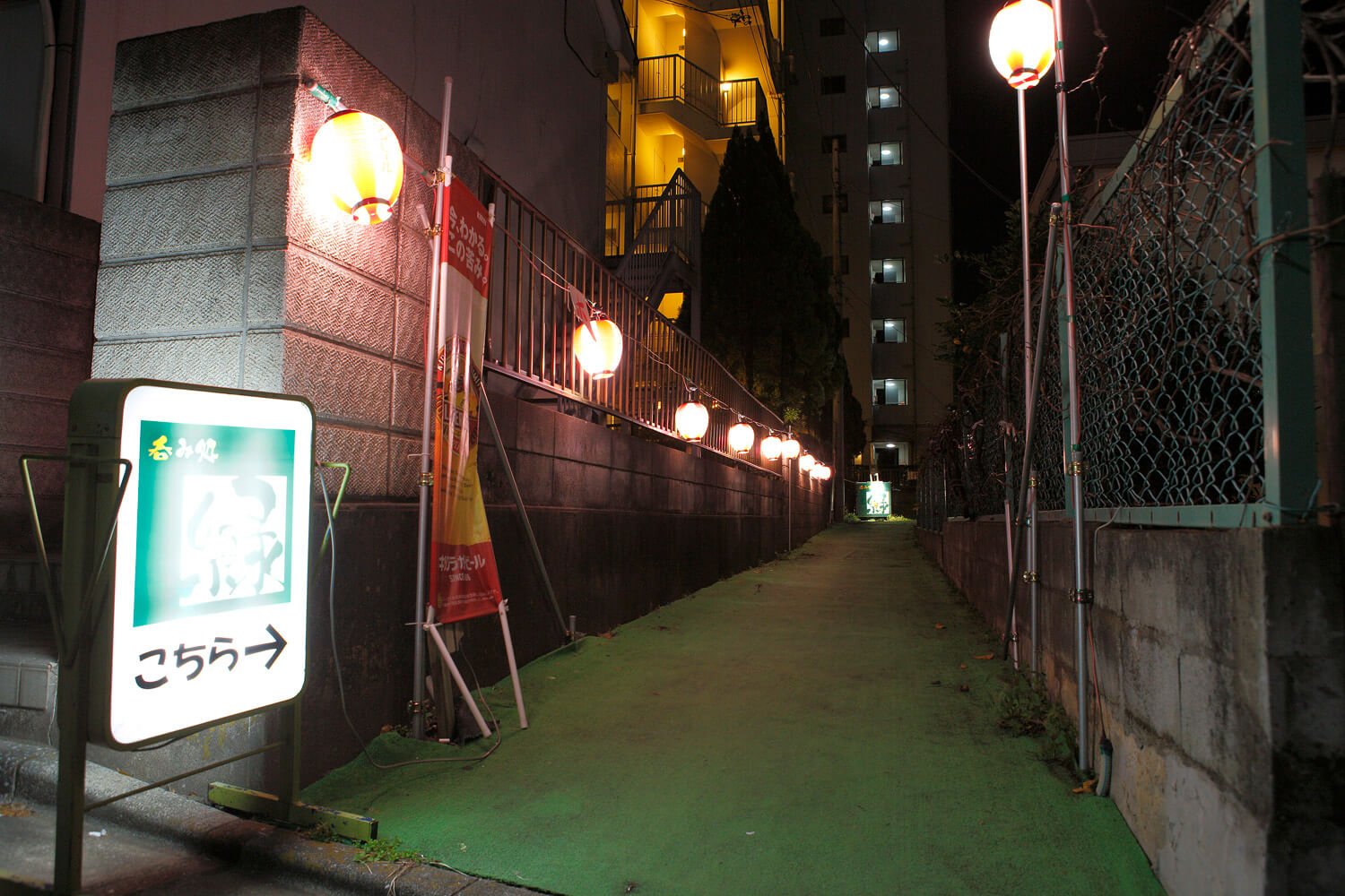 midori01