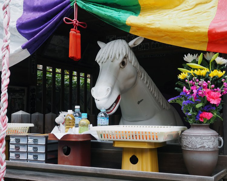 必勝祈願に訪れた新田義貞が勝利を収め、帰りに立ち寄ったとき、お礼に馬を寄進したと伝わる。厩舎内でその馬を模した木馬を祀る。