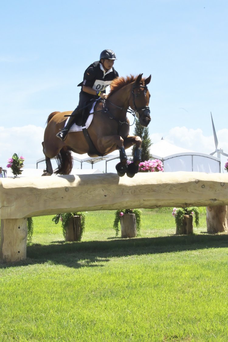 JRA馬事公苑にて。2019年8月のテストイベントでは、工事で伐採された丸太も「障害物」として利用。