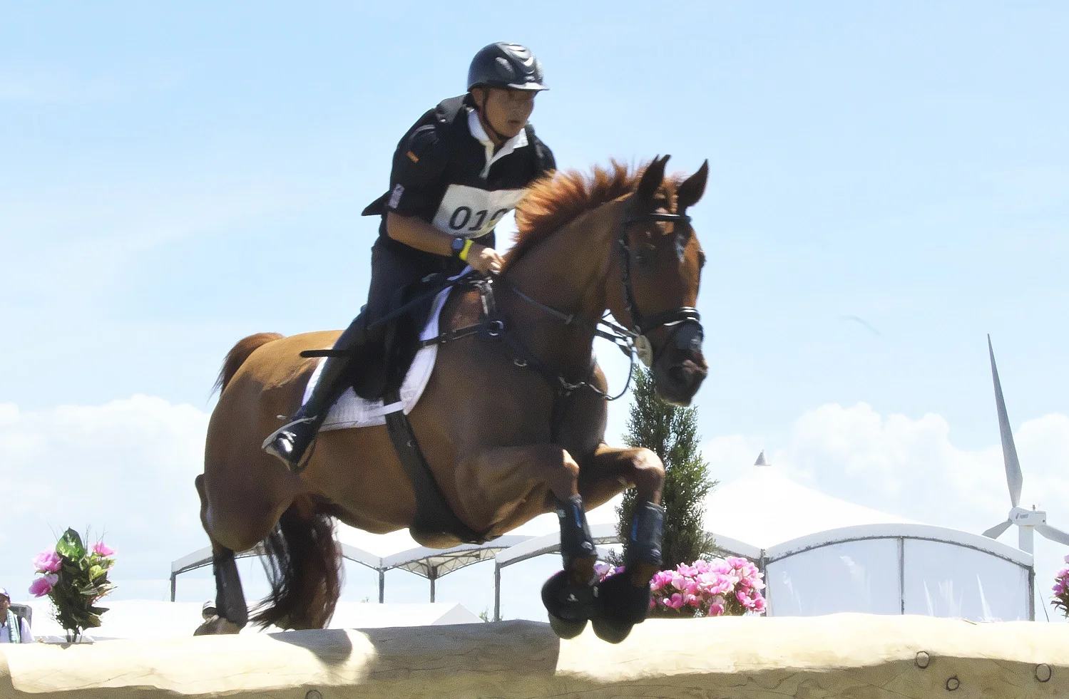 馬術 2度目のオリンピックを迎える馬事公苑 東京オリンピックを歩く 1964 2020 さんたつ By 散歩の達人