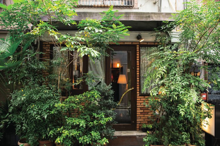 1994年創業。わざと埋もれるように緑を植えた。