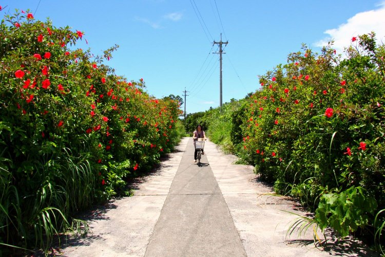 久高島　サイクリング