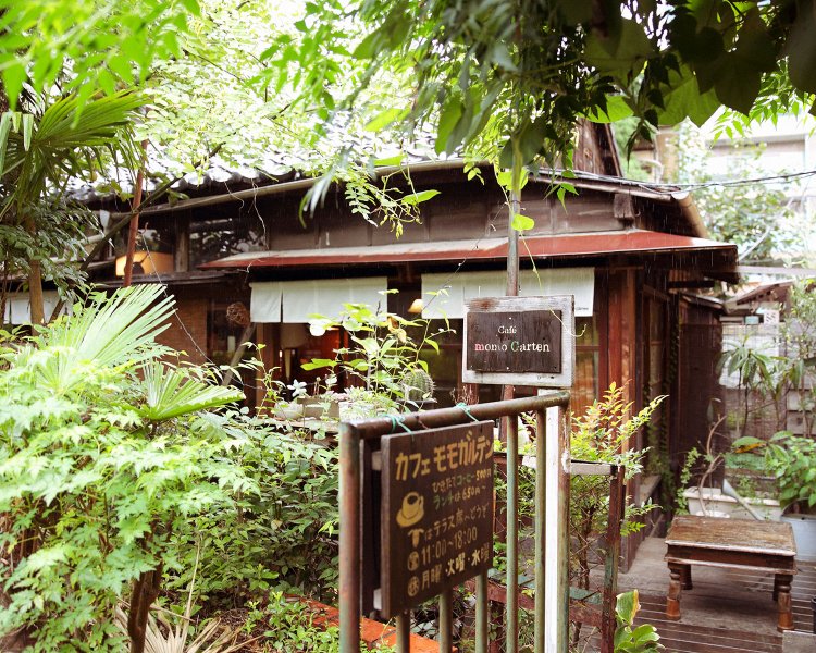 自然に覆われた昭和の木造家屋。