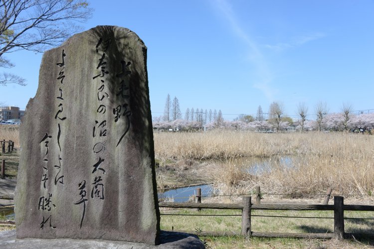 雷電神社が雨乞いの水を採る沼。畔には歌碑や弁財天社が立つ。