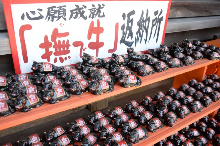 見事心願成就し、お礼参りで返納された「願掛け撫で牛」が並ぶ。