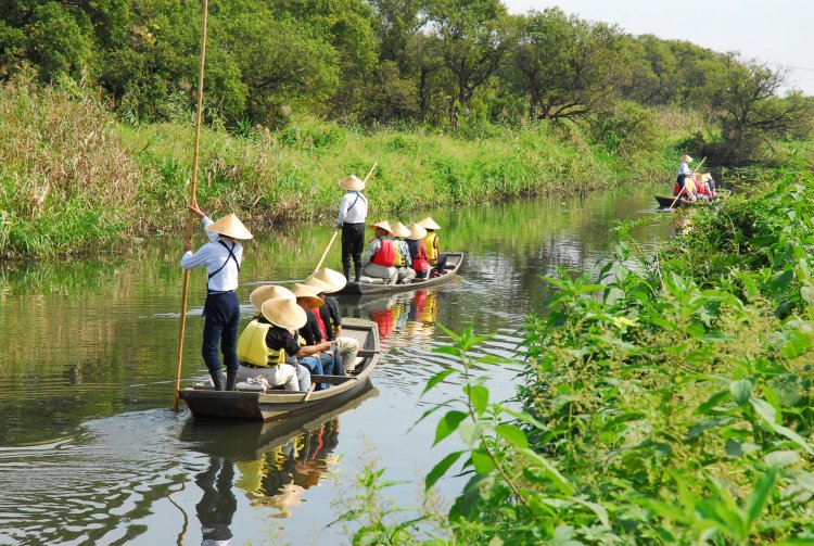 船頭が竹竿一本で揚舟を操り、新緑が映える谷田川をゆっくりと進む。