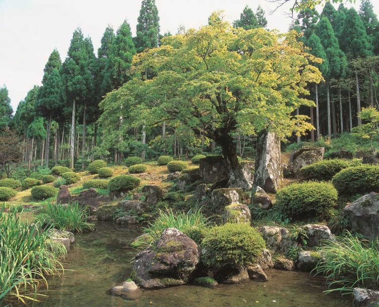 4庭園の中で一番大きい諏訪館（すわやかた）跡庭園。　写真／福井県観光連盟