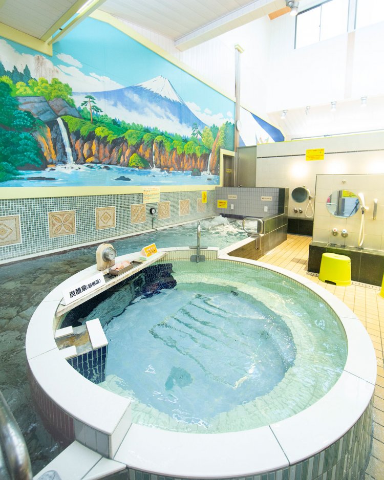 高濃度炭酸泉や石敷き浅風呂など、浴室で風呂の種類が違う。