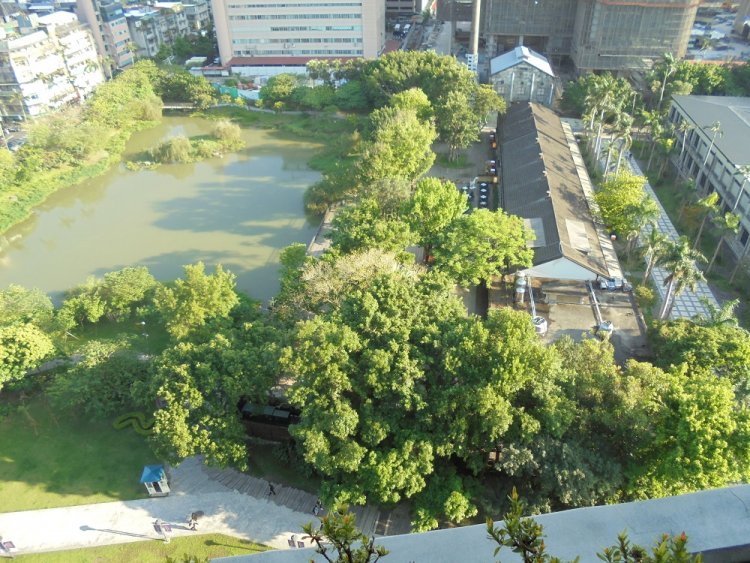 眼下には池が見えて、とても緑豊か。