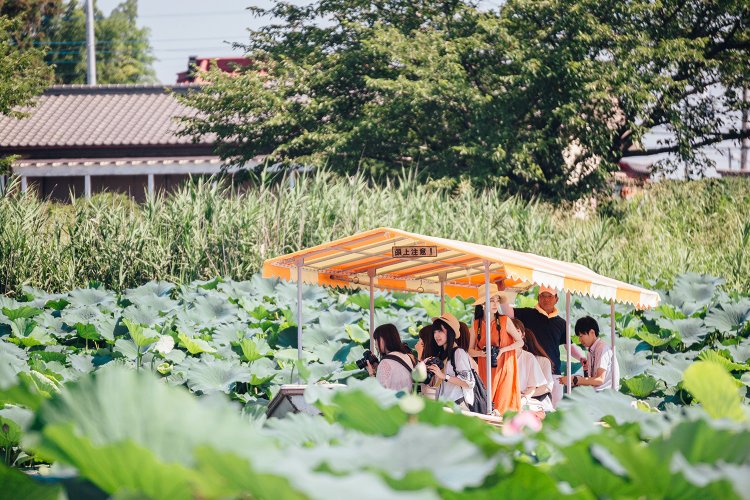 女子旅（カメラガールズ）07