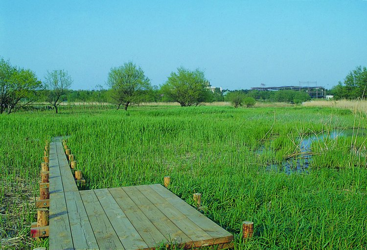 茂林寺沼～祈りの沼～02
