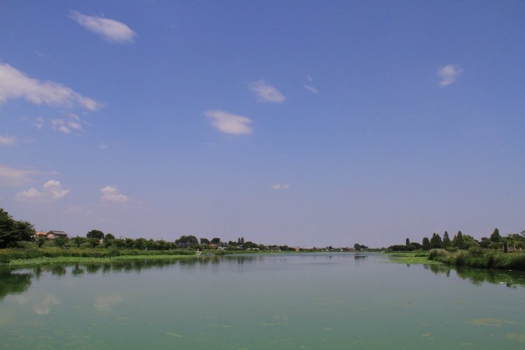 城沼～守りの沼～04