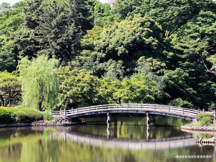 新宿御苑
