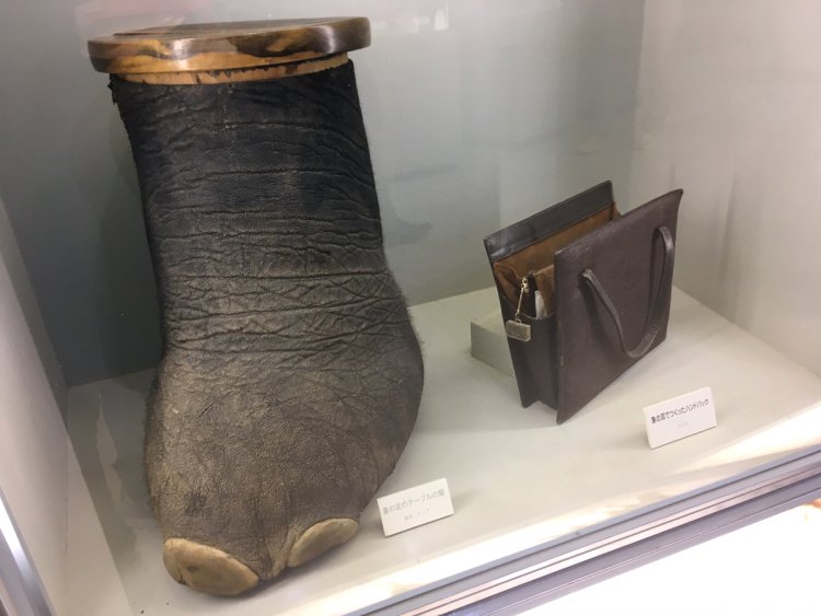 ケニアの象の足でできたテーブルの脚、象の耳でできたバッグ