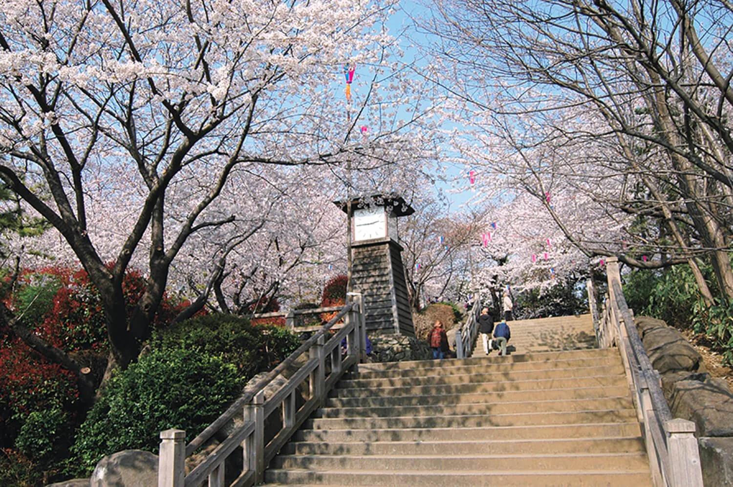 飛鳥山公園 王子 公園 さんたつ By 散歩の達人