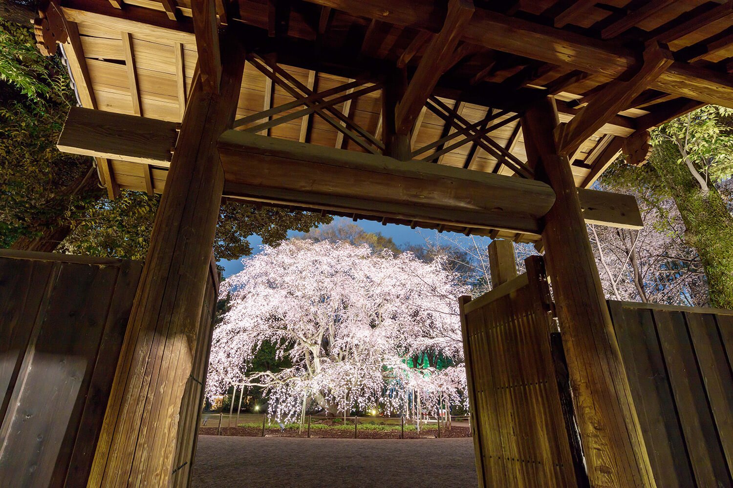 六義園1