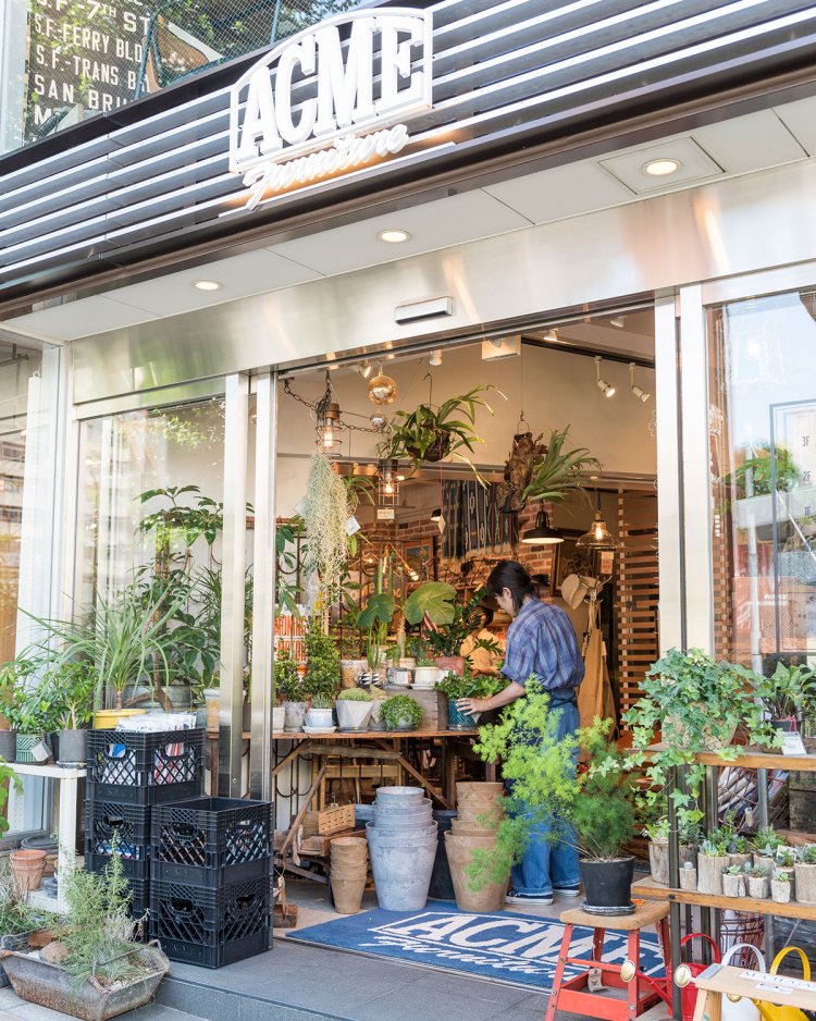 大鳥神社向かいに立つ店舗。4フロアに家具がずらり。開放的で入りやすい雰囲気。