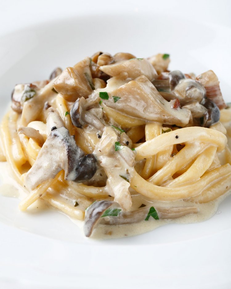 トレネッテのキノコクリーム。