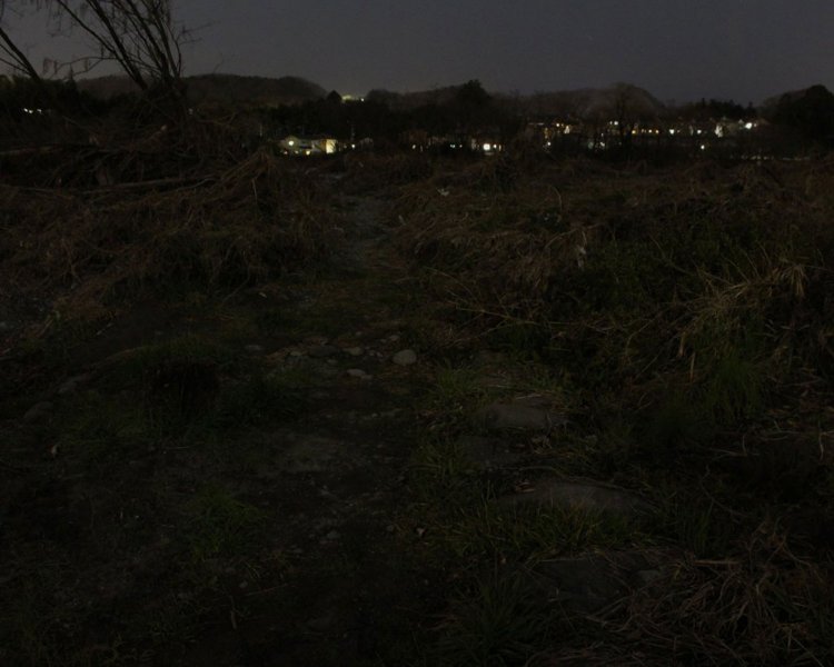 河辺の渡しへのおぼろな道。昭和初期まで重要な交通路だった。