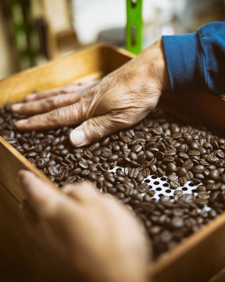 DIYも得意な岩月さん。オーディオの空気ファンを使い、豆の粗熱を取る扇風機を自作。