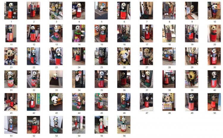 シンシン写真コレクション（今回に限らず、これまで地方で撮ったものも含まれます）