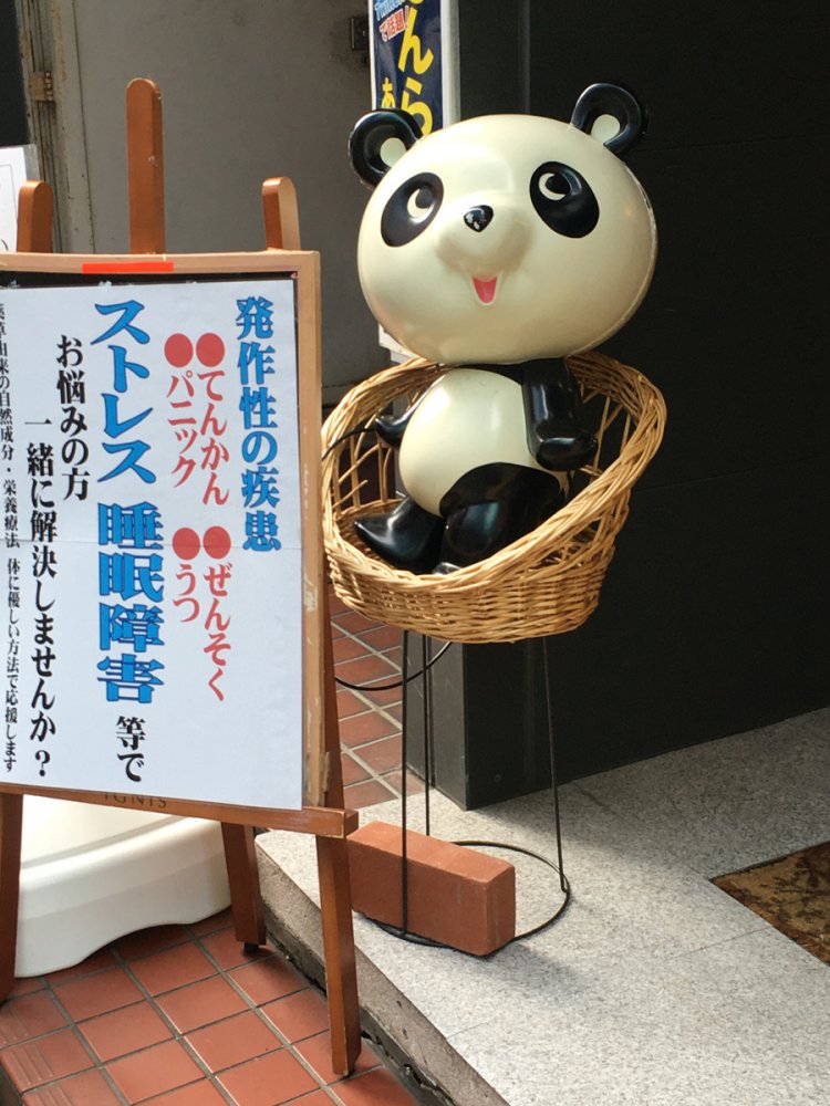 台座の代わりに椅子に座るシンシン