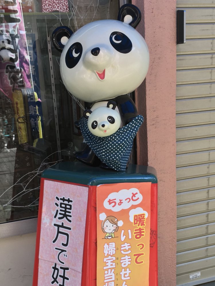 スリングで子パンダを抱くシンシン