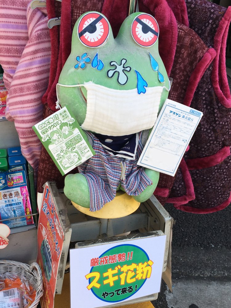 花粉症に苦しむケロちゃん