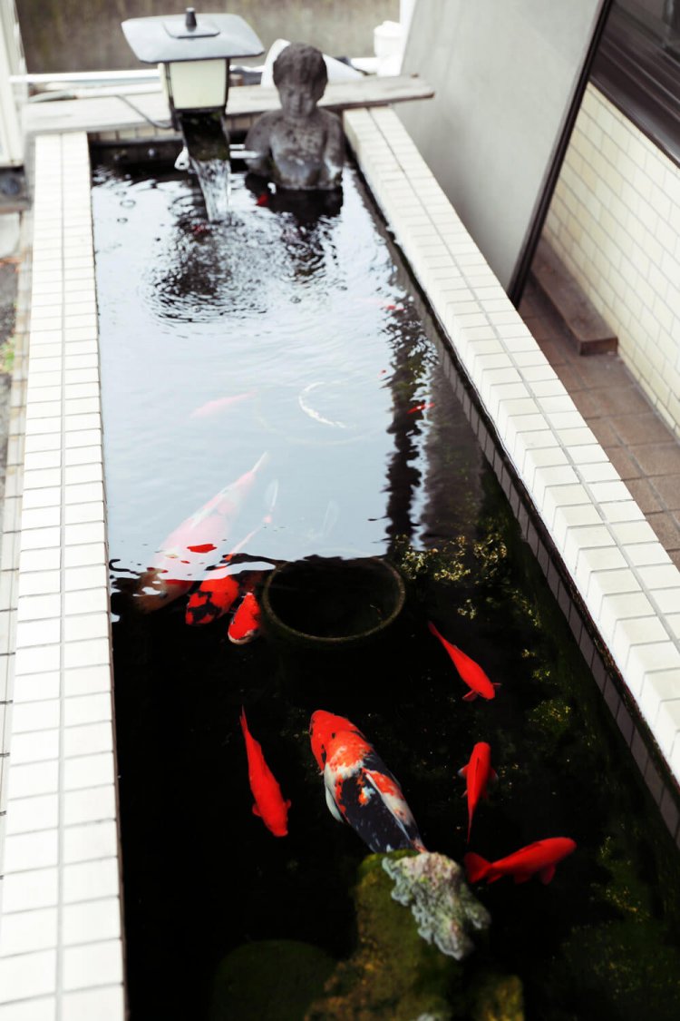 小便小僧が金魚池に浸かる。