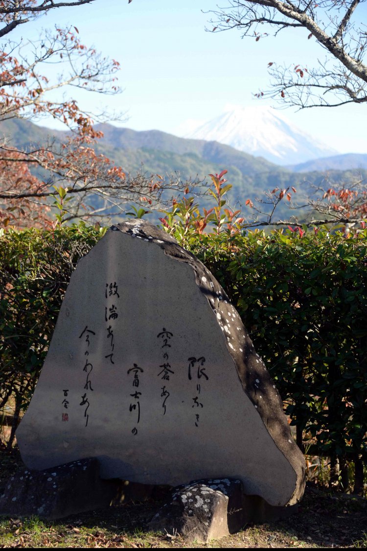親交のあった竹久夢二碑と並んで大法師公園に立つ望月百合子歌碑。