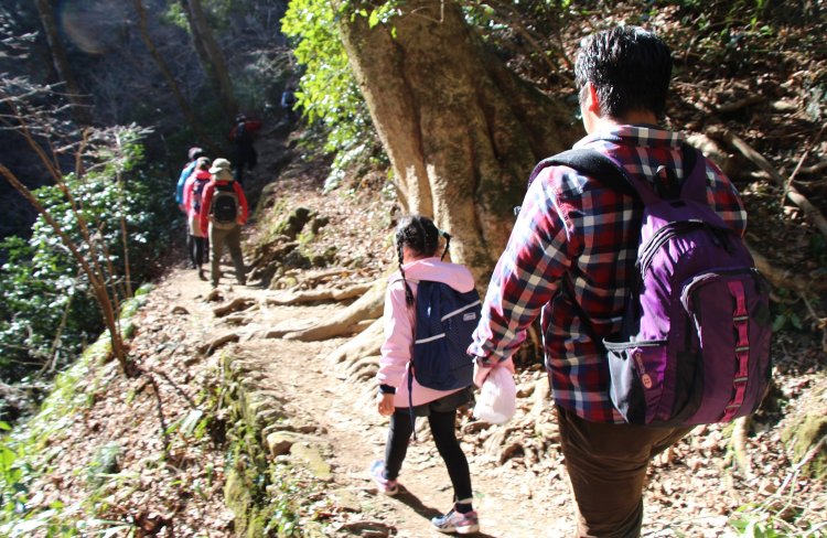 親子で山さんぽ　高尾山　登山