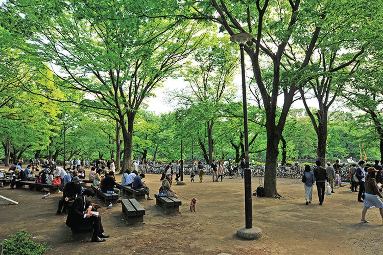 井の頭公園