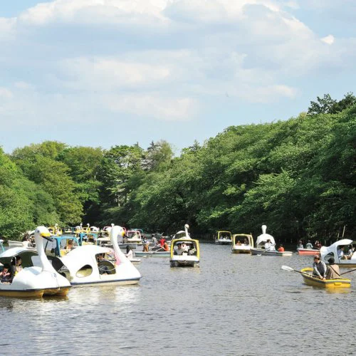 公園 さんたつ By 散歩の達人