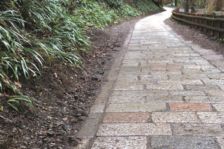 親子で山さんぽ　高尾山　登山