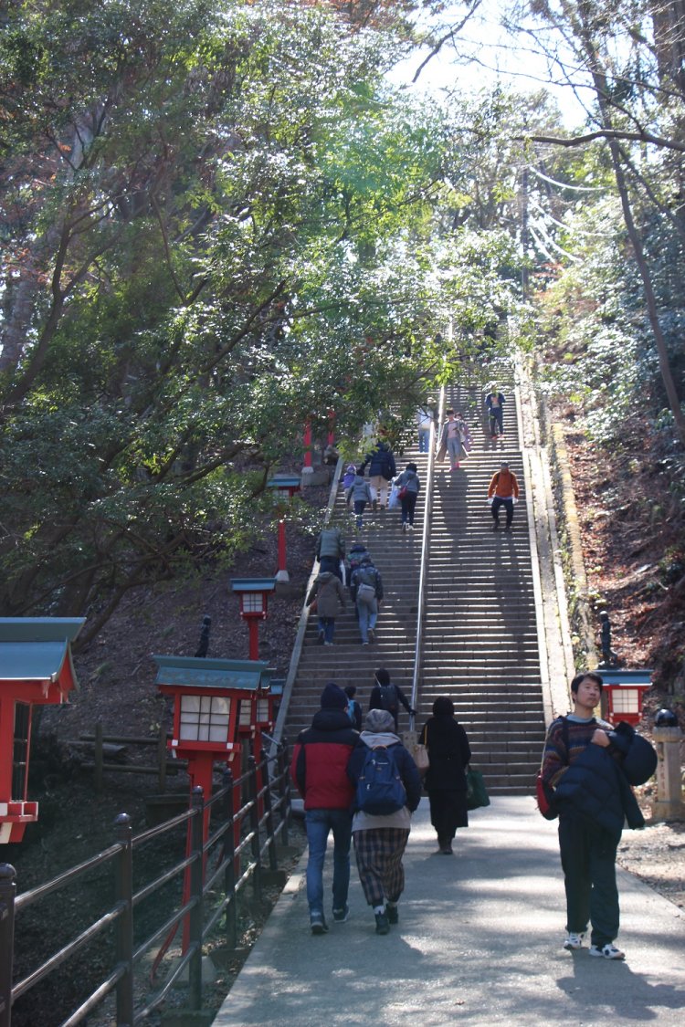 「たこ杉」を過ぎれば、薬王院までの難関、男坂が待っているぞ。