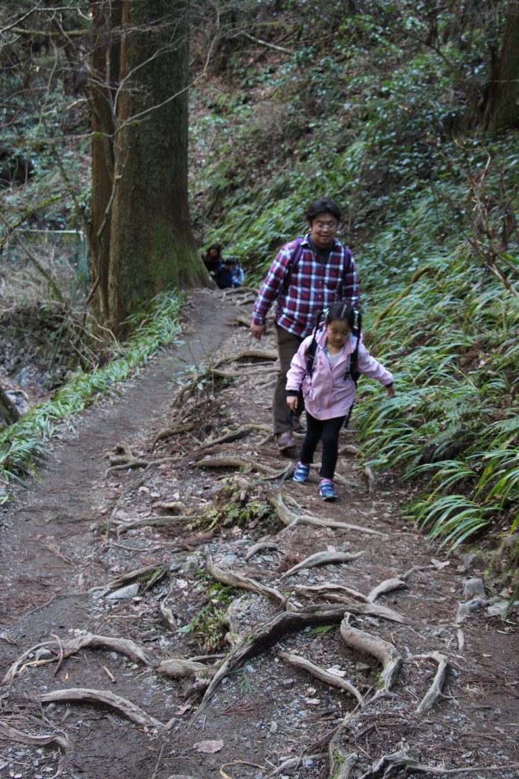 根っこの道も子どもにとってはアトラクション。