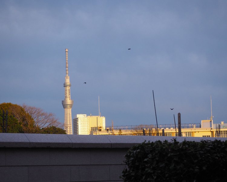 山手線歩いて一周