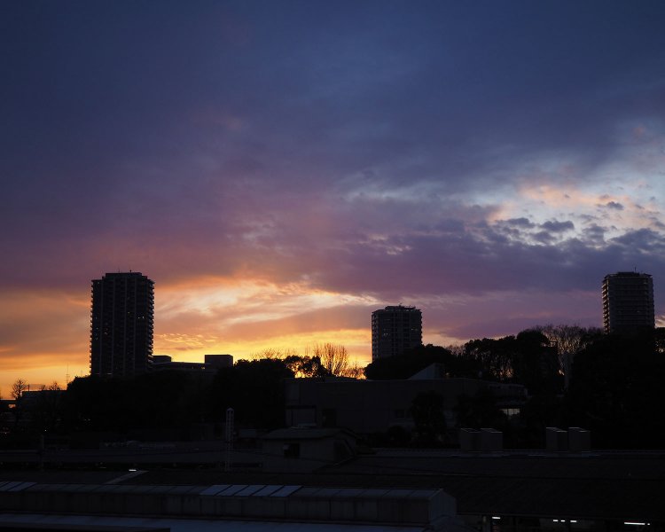 上野駅から望む夕焼け。