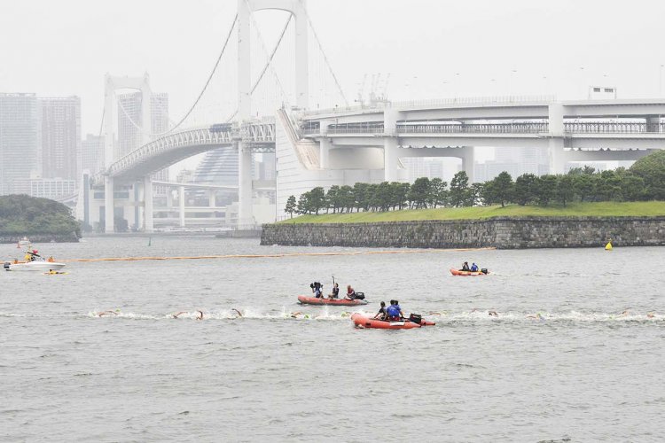 近年、お台場の海岸には伊豆諸島の神津島の砂が運び込まれ、砂浜を補充している。今年は３月までに神津島の漁港の工事で発生する１万㎥の砂を海底に撒く予定。