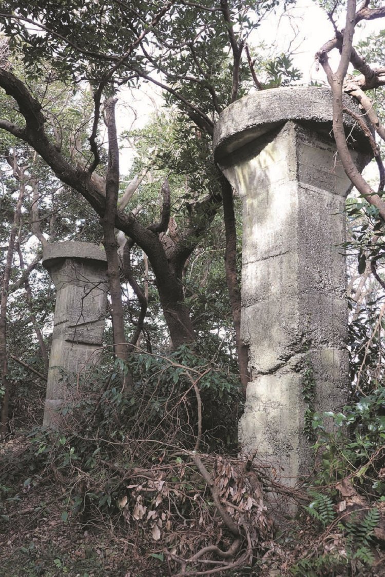 親子で山登り　神奈川県三浦丘陵　point