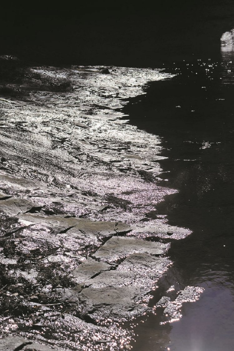 ナメ床は光の反射が美しい。