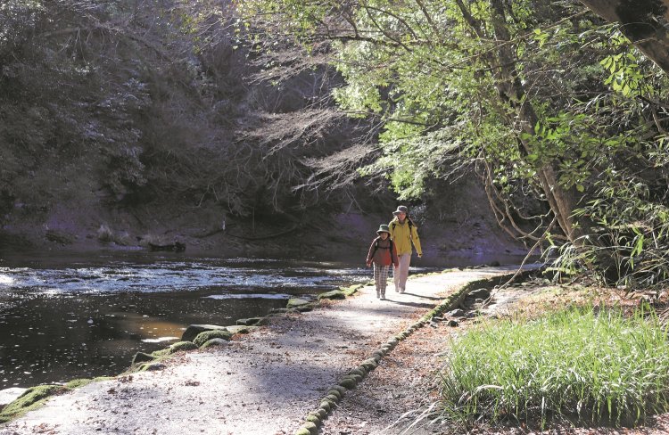 絶景の渓谷歩きを楽しめる遊歩道～千葉県・養老渓谷～