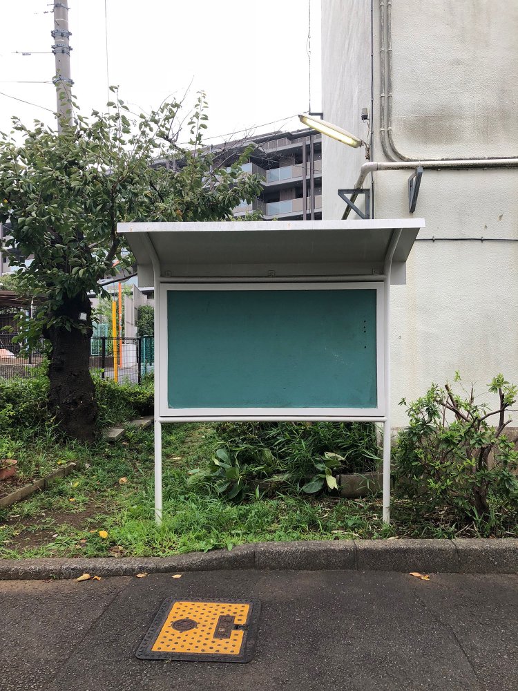 Evergreen《常緑樹》