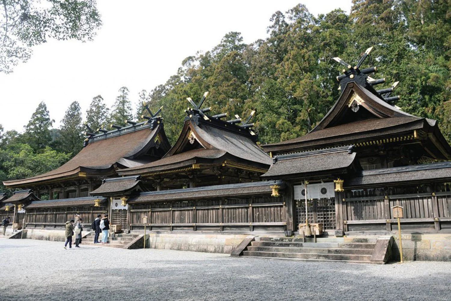 熊野本宮大社 全国 神社 さんたつ By 散歩の達人