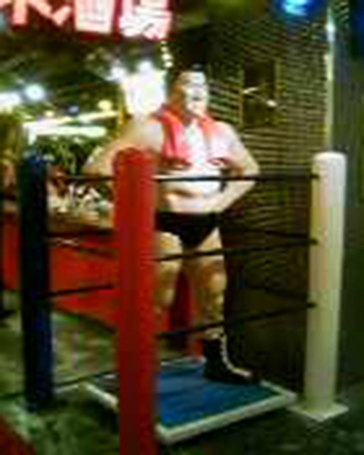 アントニオ猪木酒場の猪木人形（2008年ガラケーで撮影・新宿）