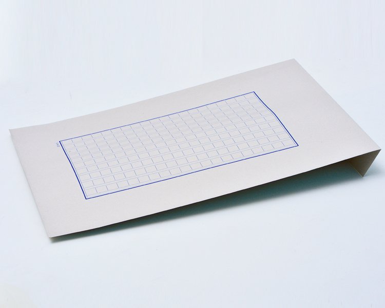 原稿封筒。表に原稿用紙をプリントした封筒。何か書き添えて渡す時などに重宝する。この店の商品はこういう工夫が抜群にうまい。3サイズ展開418円～528円。