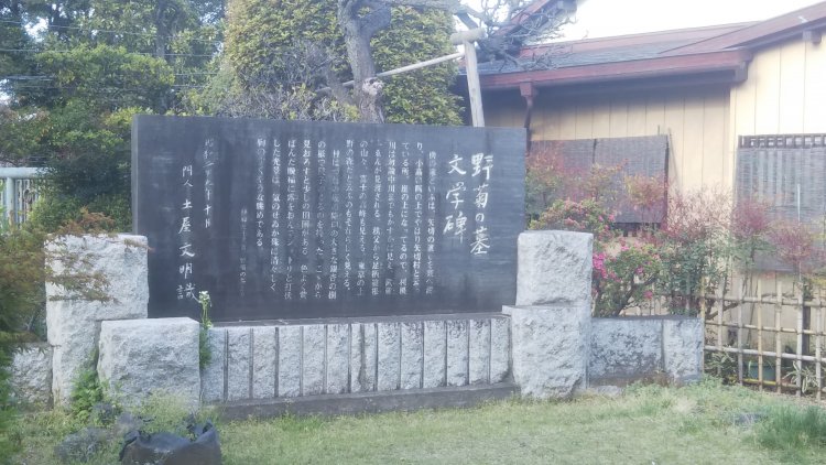 野菊の墓文学碑。「○○さんは野菊のような人だ」なんてセリフ、寅さんは言えないだろうな～。